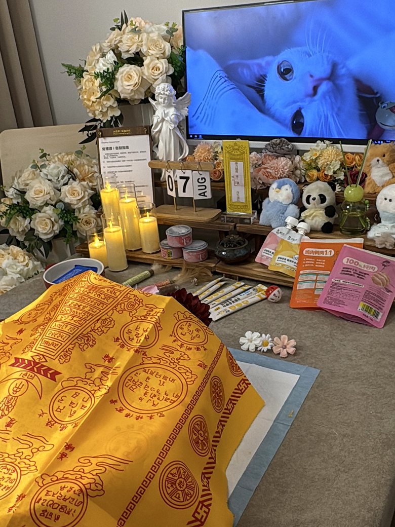 佛山宠物殡葬门店告别厅环境